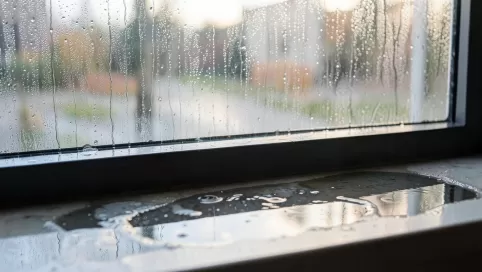 pochłaniacz wilgoci na okna